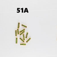 kemp jewel 51