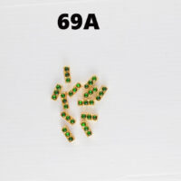 kemp jewel  69A