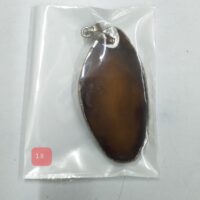 Agets pendant 17