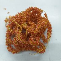 Basic jewellery raw material
